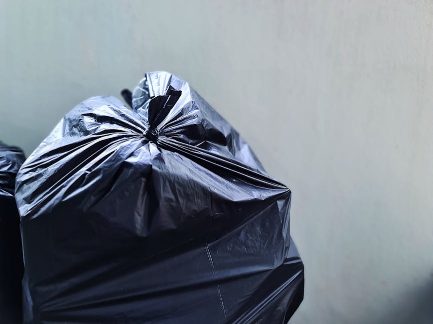 Same day rubbish collection Poplar common delays to expect